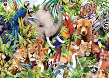 Hayvanlar Nasıl Görür? 8 Hayvanlar Nasıl Görür