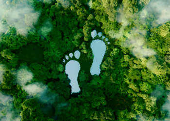 İklim Değişikliğinin Ekosistemler Üzerindeki Etkileri ve Geleceğe Dair Endişeler 13 İklim Değişikliğinin Ekosistemler Üzerindeki Etkileri ve Geleceğe Dair Endişeler