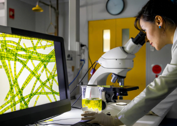 Bitki Fizyolojisi ve Fotosentez 14 Bitki Fizyolojisi ve Fotosentez