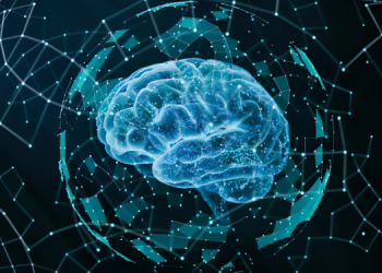 Nörobilimdeki Son Gelişmelerin Önemi 16 Nörobilimdeki Son Gelişmelerin Önemi