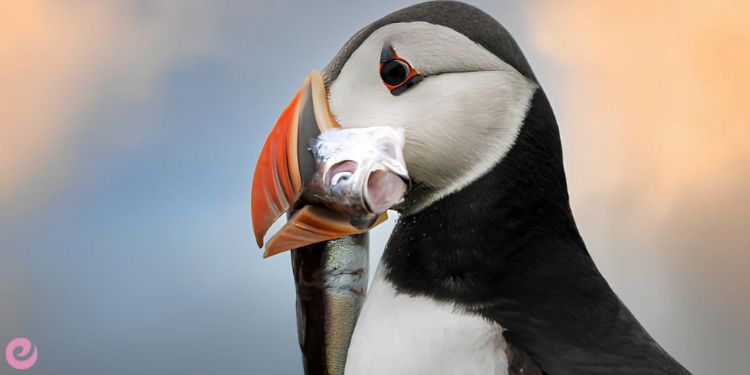 Nesli Tehlike Altındaki Türlerin Önemi, Korunması 1 Nesli Tehlike Altındaki Türlerin Önemi, Korunması