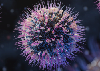 Mikroorganizmalar Dost mu Düşman mı? 8 Mikroorganizmalar