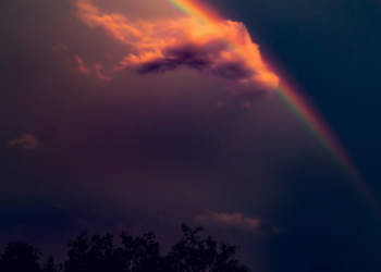 Yağmur Nasıl Oluşur? Küresel Isınmanın Etkileri 19 Yağmur Nasıl Oluşur? Küresel Isınmanın Etkileri