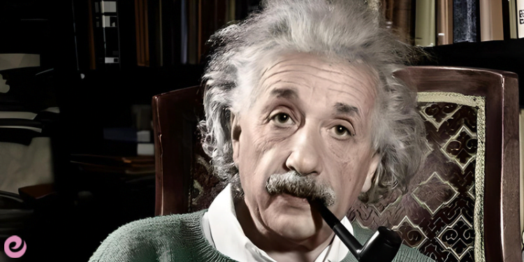 Arıların Ekosistemdeki Yeri ve Önemi 2 Einstein “Arılar Ölürse İnsanlar da Ölür” Demekle Ne Demek İstemiştir?
