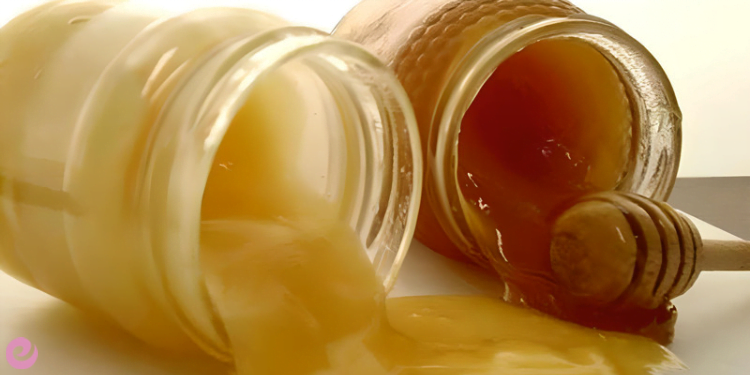 Arıların Ekosistemdeki Yeri ve Önemi 4 Gerçek Bal Nasıl Anlaşılır?