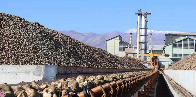 Şeker ve Günümüzdeki Yeri Nedir? Şekerin Tarihi 4 seker fabrikasi