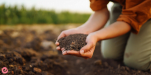 2023-2024 İş Dünyasında Parlayacak Meslekler 5 çevre uzmanı