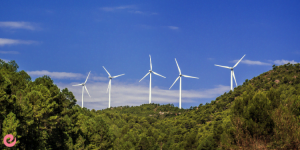 2023-2024 İş Dünyasında Parlayacak Meslekler 8 enerji uzmanı