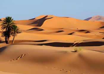 Bir Zamanlar Sahra Çölü 21 Bir Zamanlar Sahra Çölü