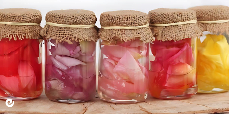 Fermente Edilmiş Yiyecekler ve Faydaları 1 Fermente Edilmiş Yiyecekler ve Faydaları