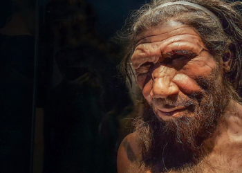 Geçmişin Gizemli İnsanları Neandertaller Kimlerdir? 7 Geçmişin Gizemli İnsanları Neandertaller Kimlerdir